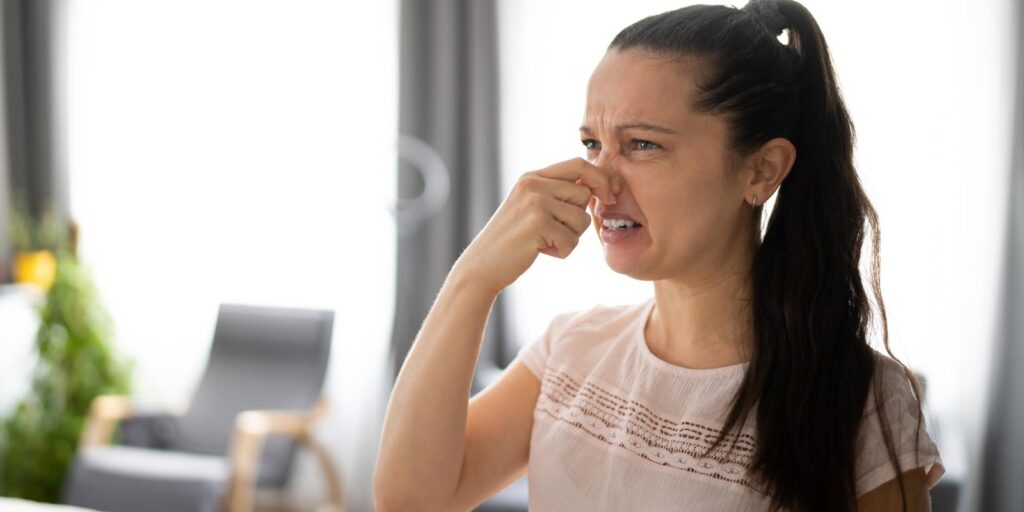 Mastering Smoke Odor Removal