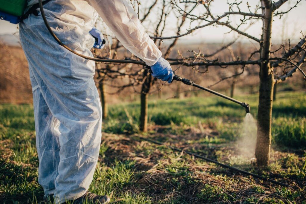 How Calgary’s Climate Affects Seasonal Pest Activity Calgary’s Climate Affects Seasonal Pest Activity